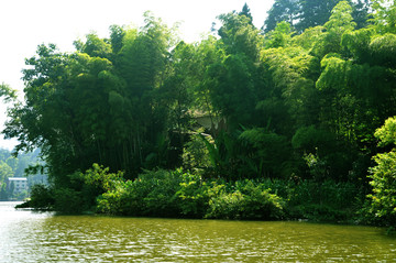 重庆綦江丁山湖 湖