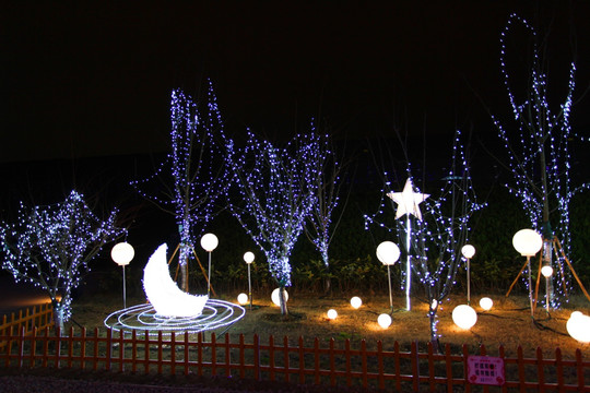 彩灯 城市亮化 春节 灯展