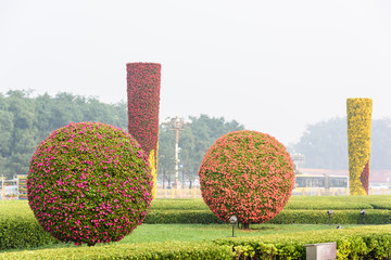 植物柱子和球