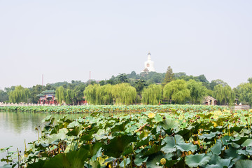 北海景色