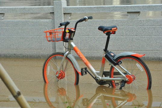 共享单车  泡水的共享单车