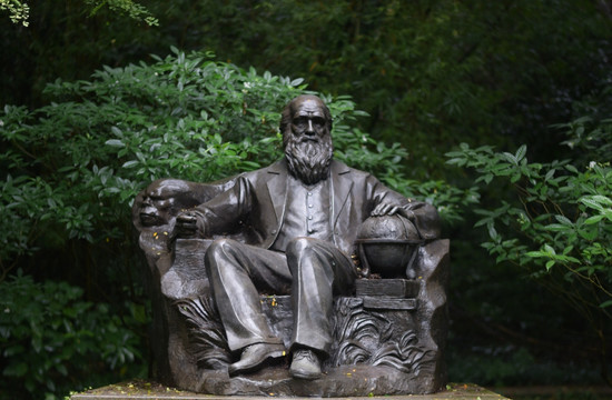 伟人雕塑  达尔文 英国生物学