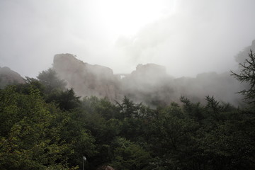 青岛崂山云雾
