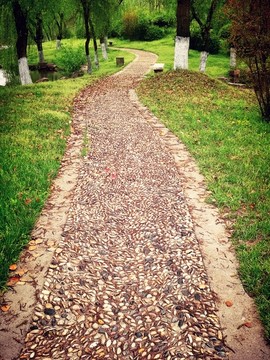 路 小路 林间小路