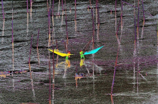 霞浦滩涂风光