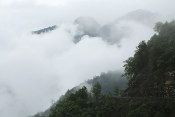 烟雨神农架