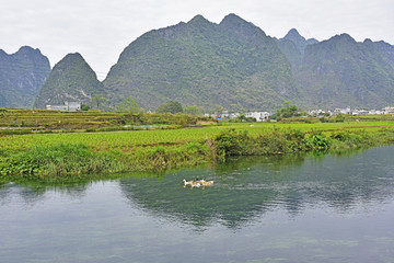 山水田园