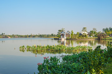 广州海珠湖湿地