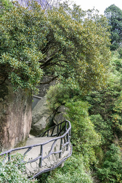 三清山山景