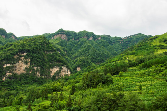 山地 大山