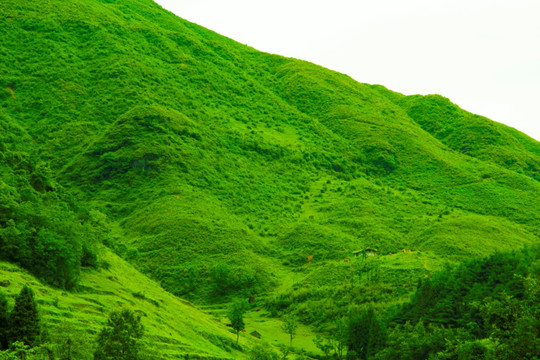 山地 山坡