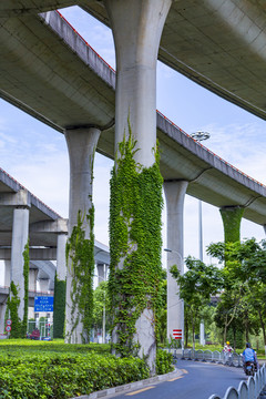 上海公路高架