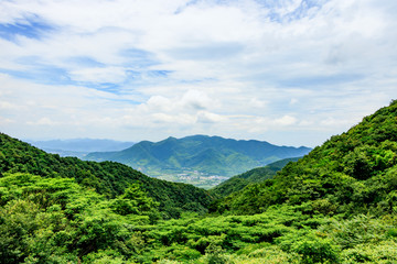 自然景观 森林