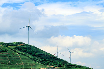 风机风力发电图片 茶山茶园茶山
