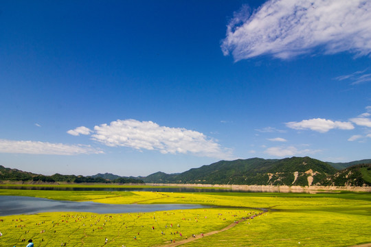 丹东宽甸绿江村油菜花田