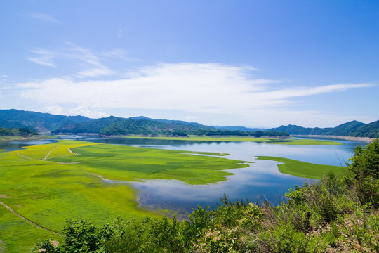 辽宁丹东绿江村油菜花田