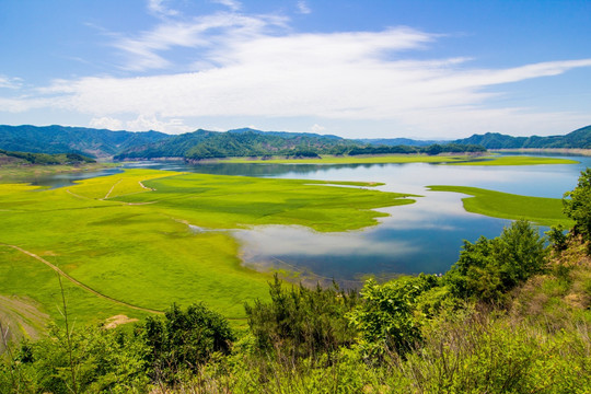 辽宁丹东绿江油菜花田