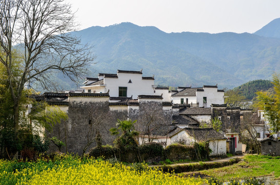 江西婺源田园风光