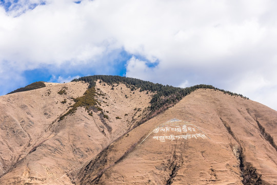 高原山景