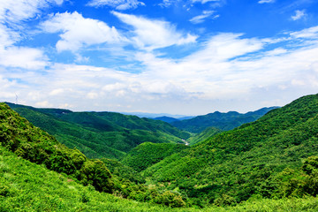 绿色山谷 山川画 山