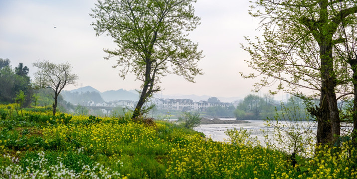 宽幅江南田园美景