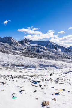 雪后的折多山美景