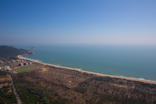 大树岛 海洋