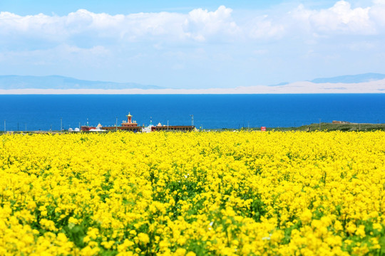 青海湖