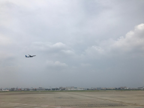 飞机 交通 运输 航空 民航