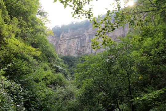 山林  大山风景