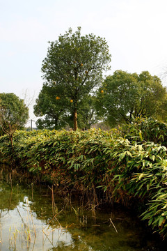 江南风俗 田园 乡村