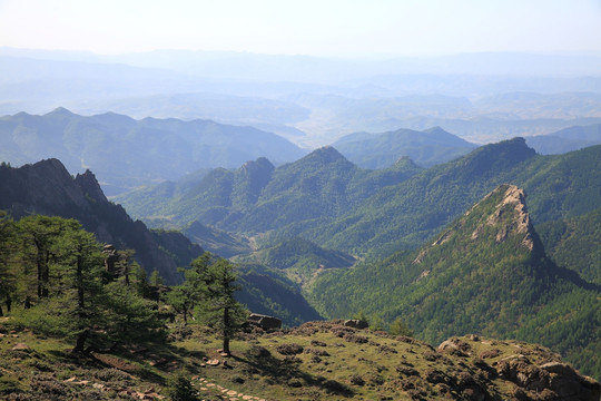 芦芽山