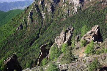 芦芽山