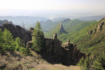 芦芽山