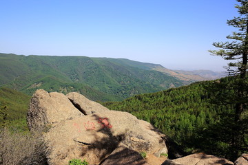 芦芽山