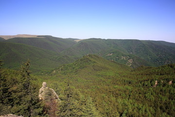 芦芽山