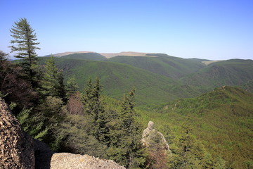 芦芽山