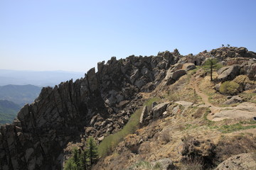 芦芽山