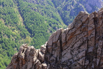 芦芽山