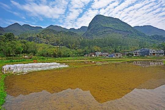 田园风光