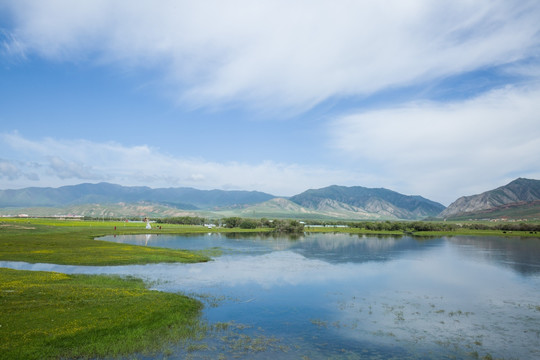 桑科草原