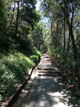 登山台阶