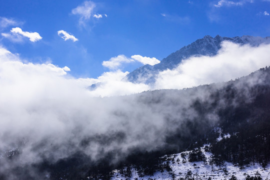 高山云雾美景