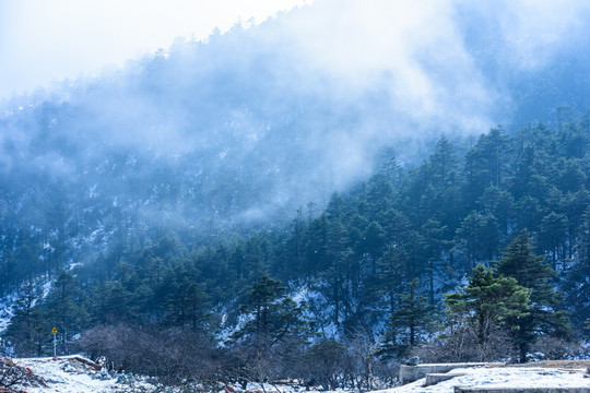 高山云雾美景