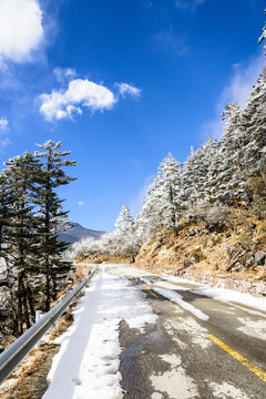 雪后美景