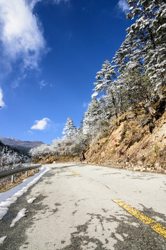 雪后美景