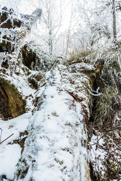 雪后的山林