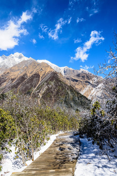 贡嘎雪山美景