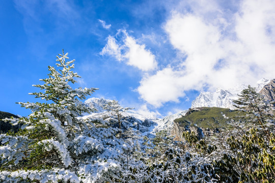 贡嘎雪山美景