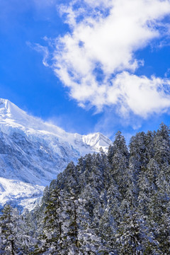 贡嘎雪山景色